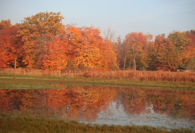 A lake surrounded by fall colored trees.