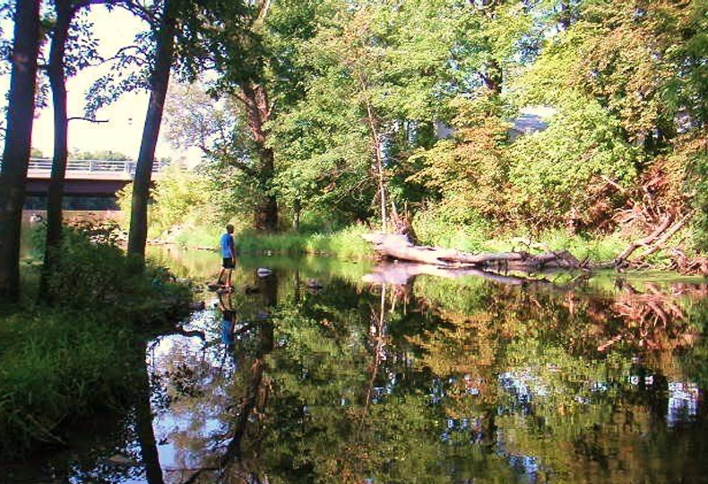 A trail in a park surrounded by a lake and trees.