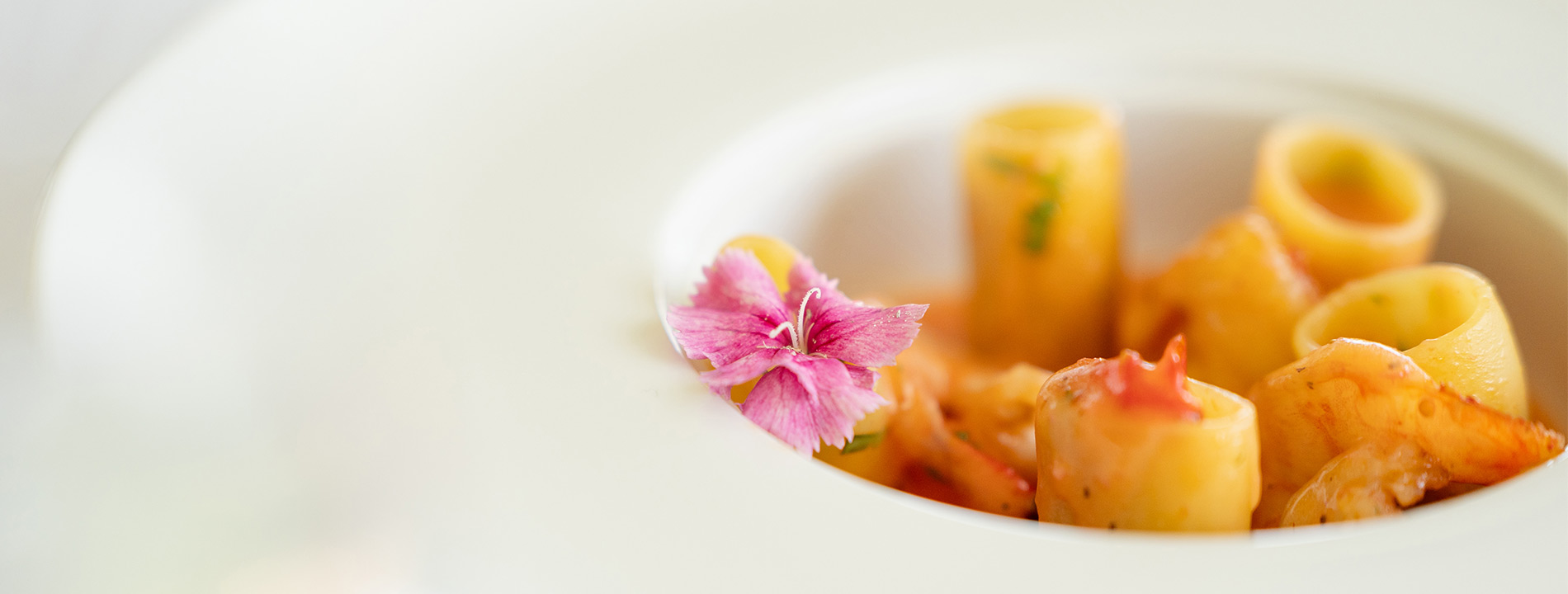 A plate of pasta.