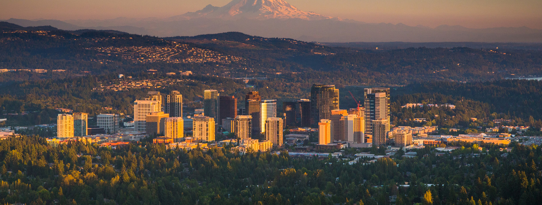 Downtown Bellevue.