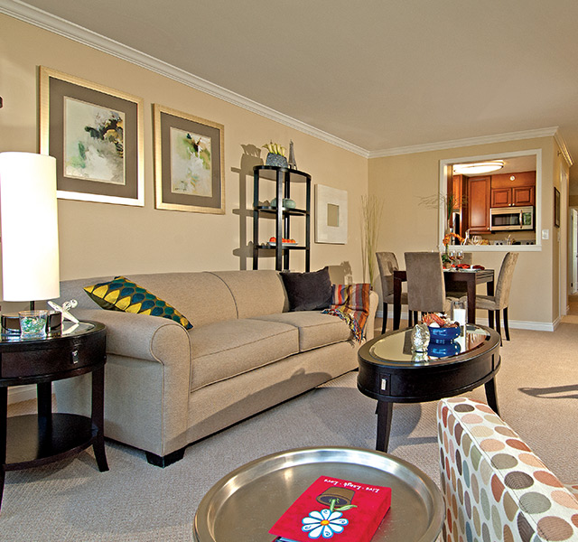 decorated living room with sofa, chair and dining table with kitchen in the background