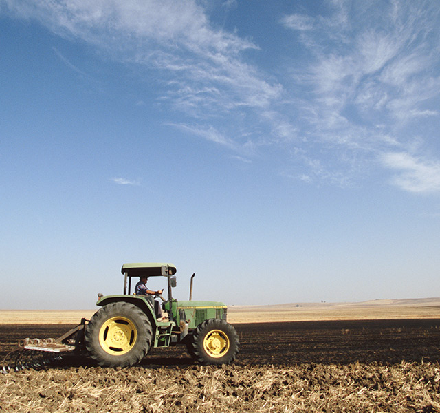 A farmer plowing the field.