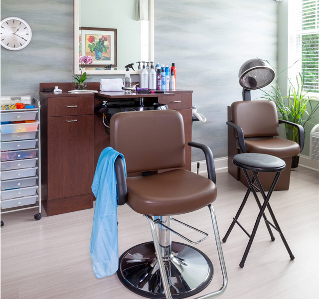 Brown chair in salon.