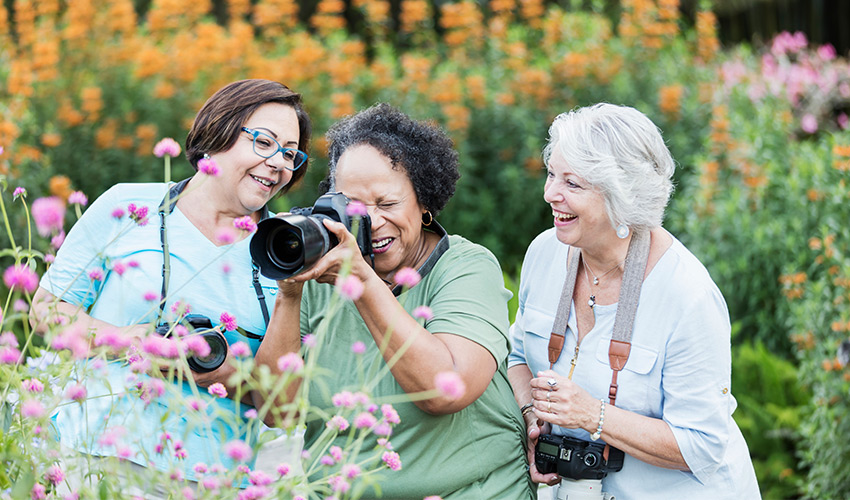 A group of people taking photos in a flower garden.