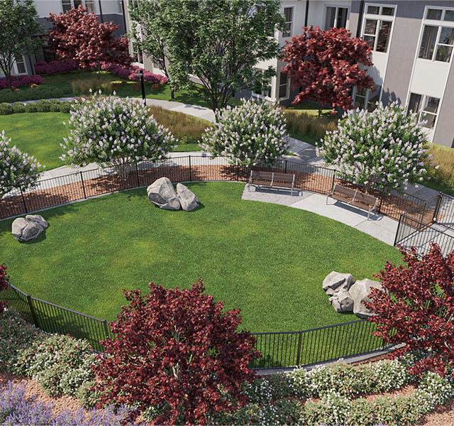 overhead view of the dog park