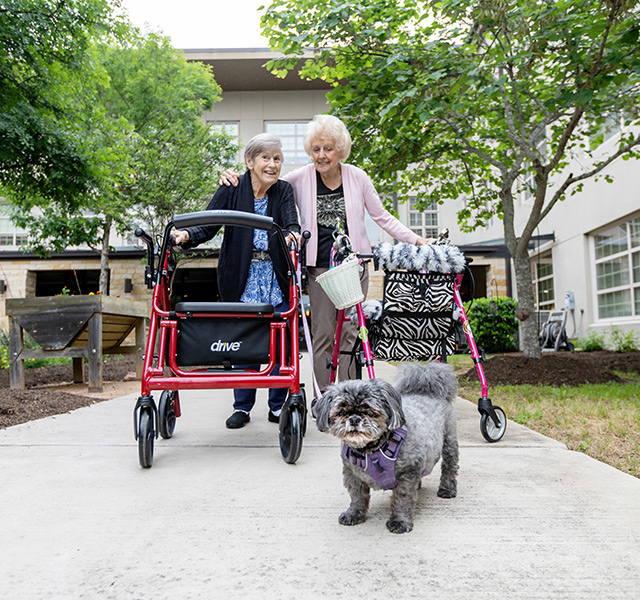 Two friends walking the dog.