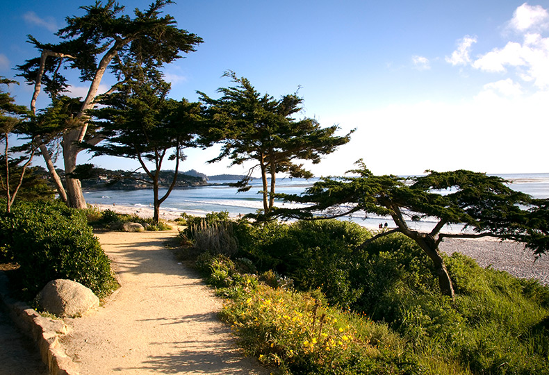 A beach in Carmel.