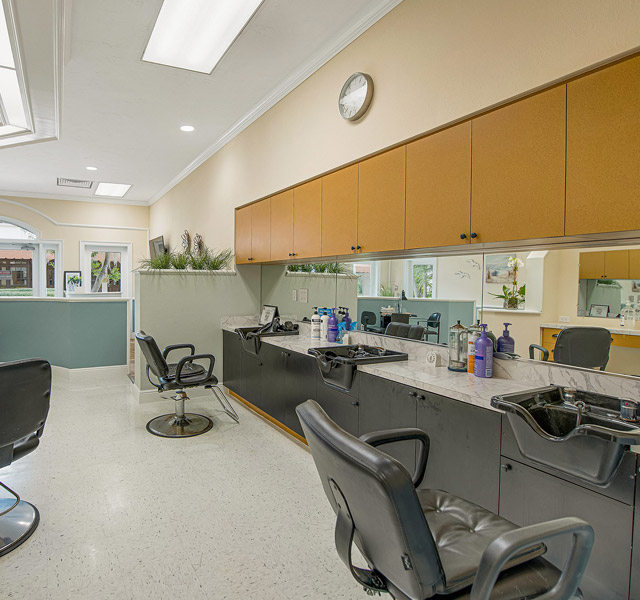 salon within community
