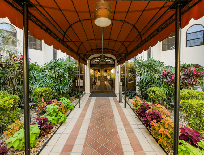 outside pathway to front entrance surrounded by plants