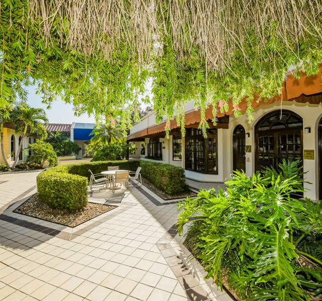 outdoor area with sidewalk paths and greenery outside of community