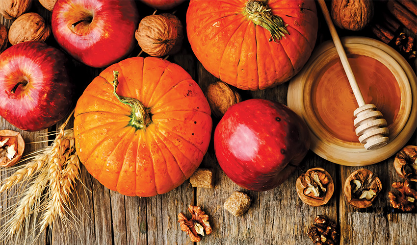 scattered pumpkins, apples, honey, wheat, and  nuts on a wooden background