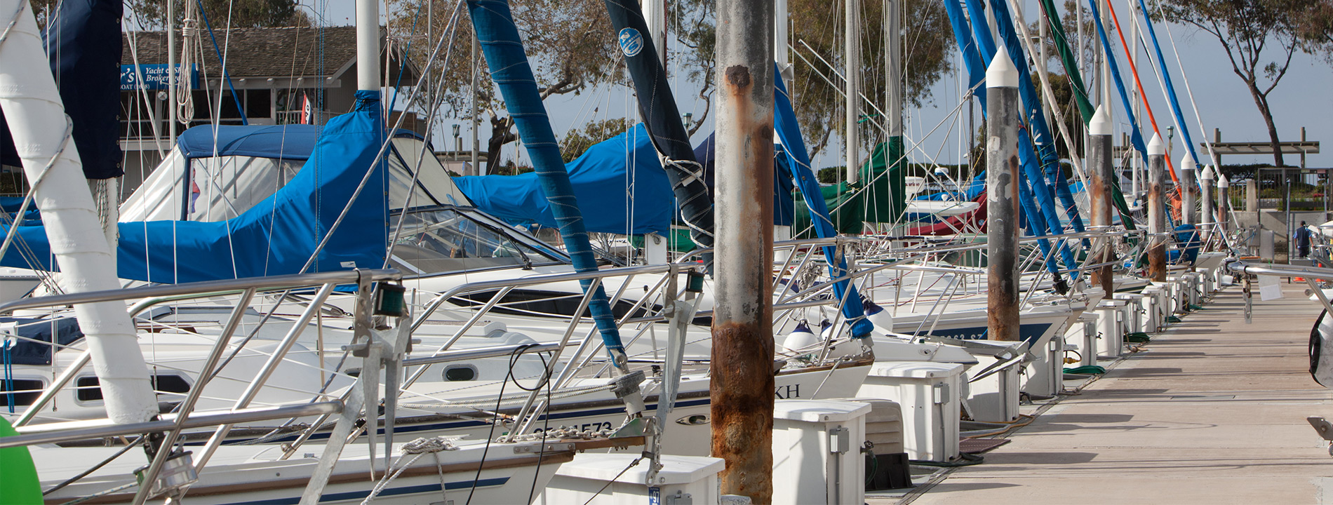 Line of sailboats.