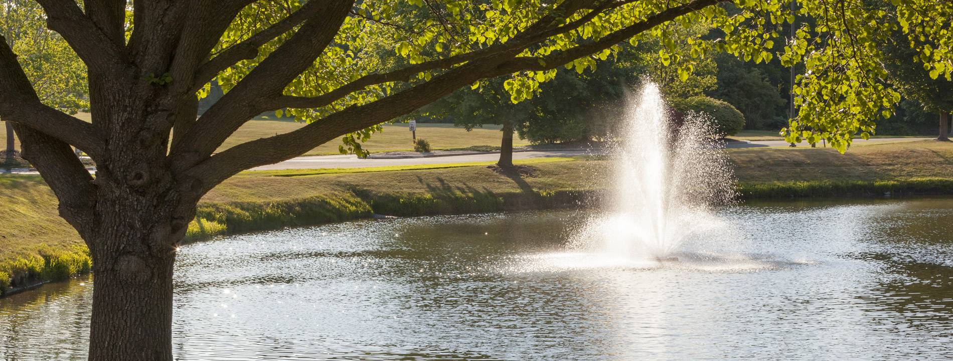 A lake at The Fountains at Bronson Place.