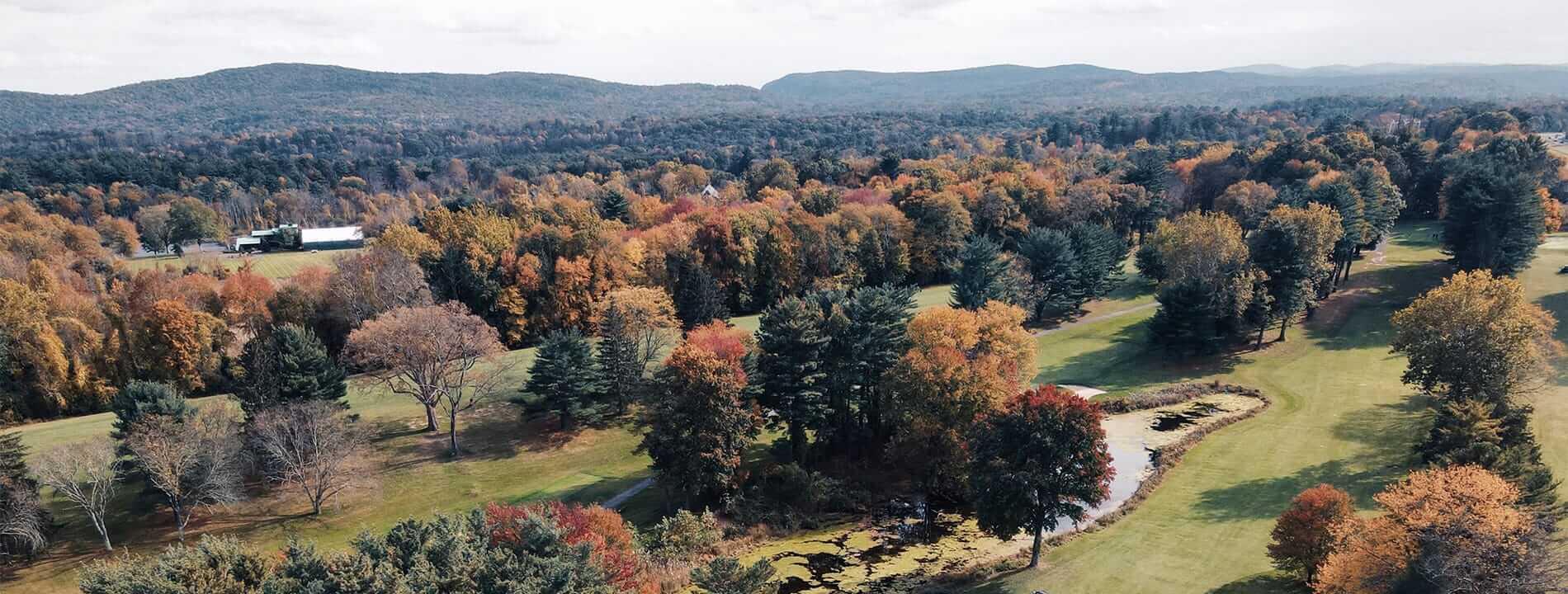 Aerial view of trees on a hillside.