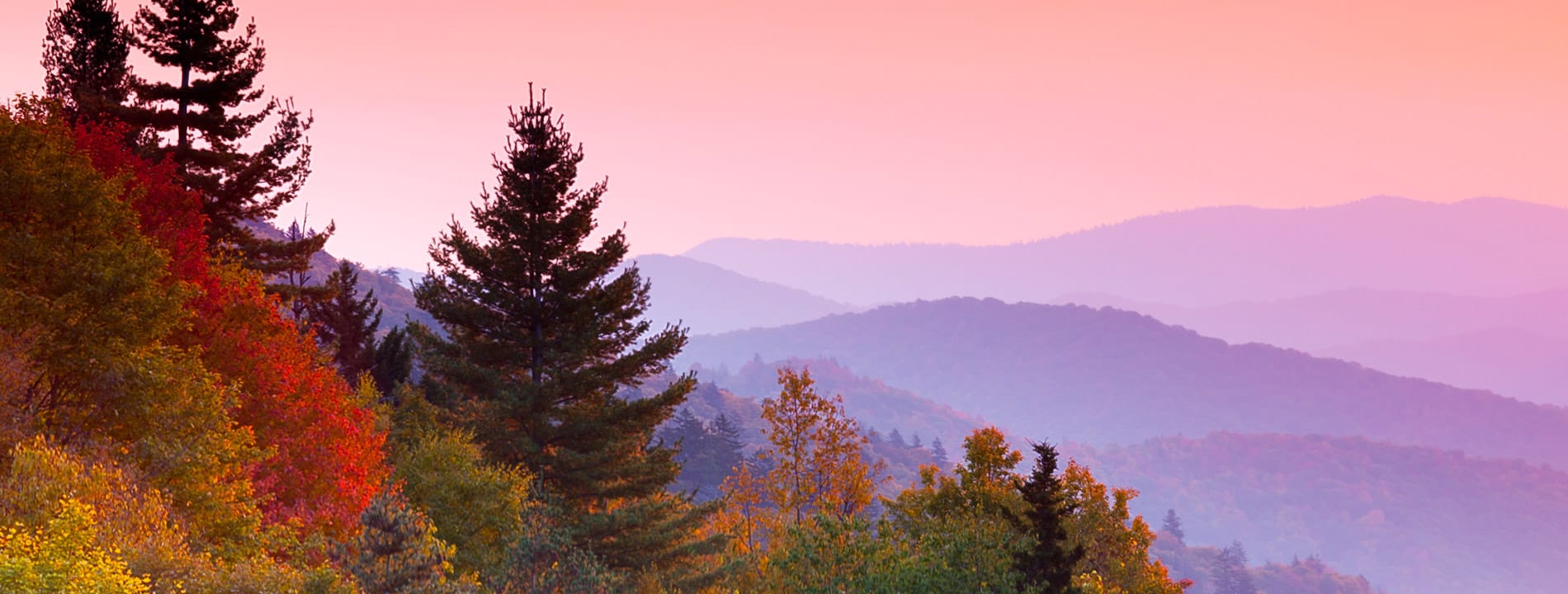 An autumn sunrise with a variety of trees in the foreground and misty mountains in the background.