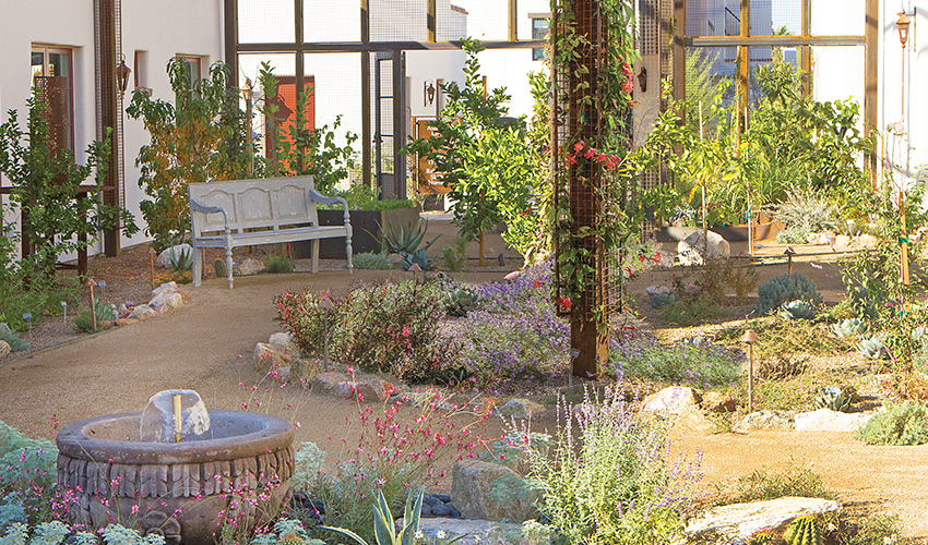 A view of the garden with a small fountain and desert plants and flowers.