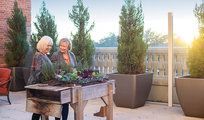 Two women working on the rooftop garden bench.