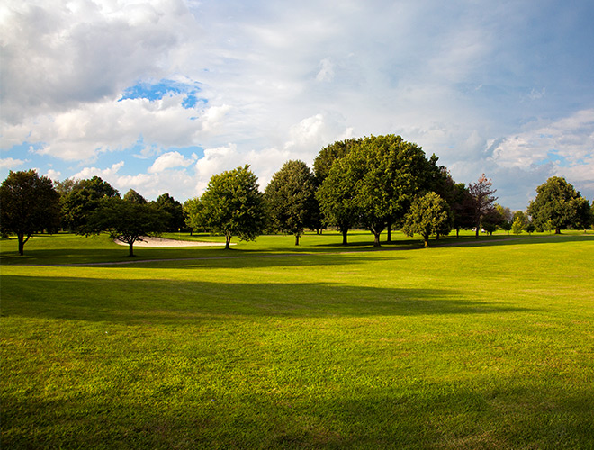 A golf course.