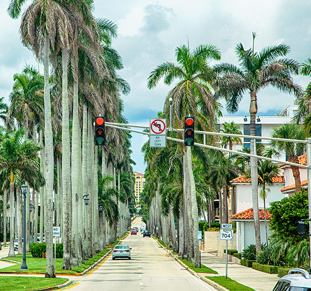 A street in West Palm Beach.