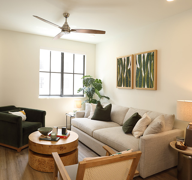 A fully furnished living room.