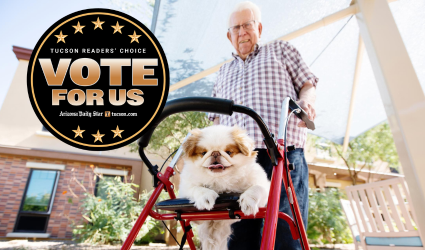 A resident is walking their dog outside.