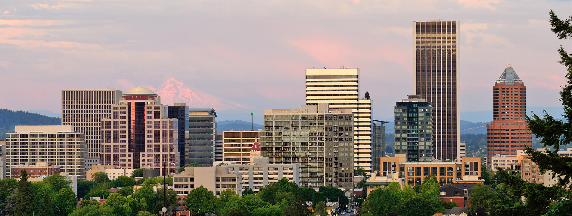 The city of Portland with Mt. Hood behind it.