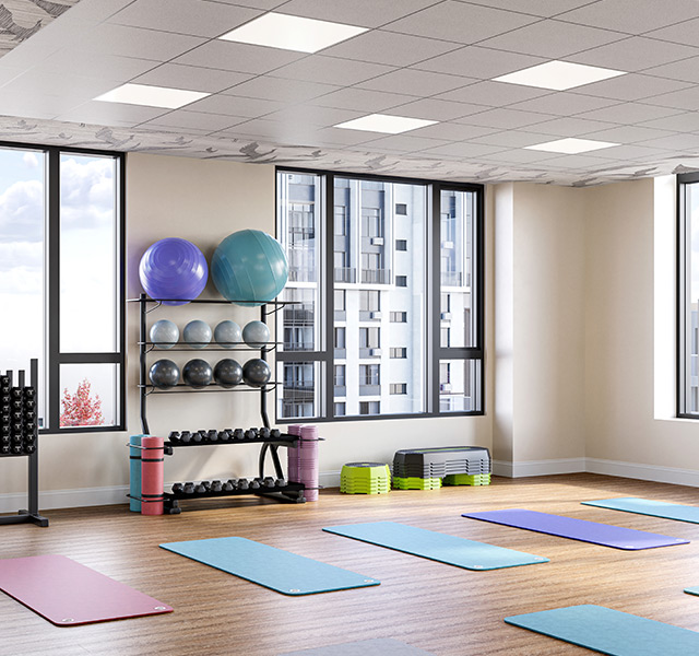 Yoga studio with mats and balls.