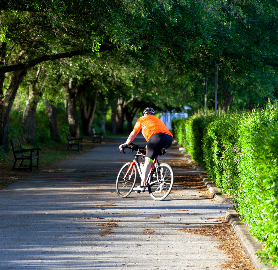 A bike rider is on a nature trail.