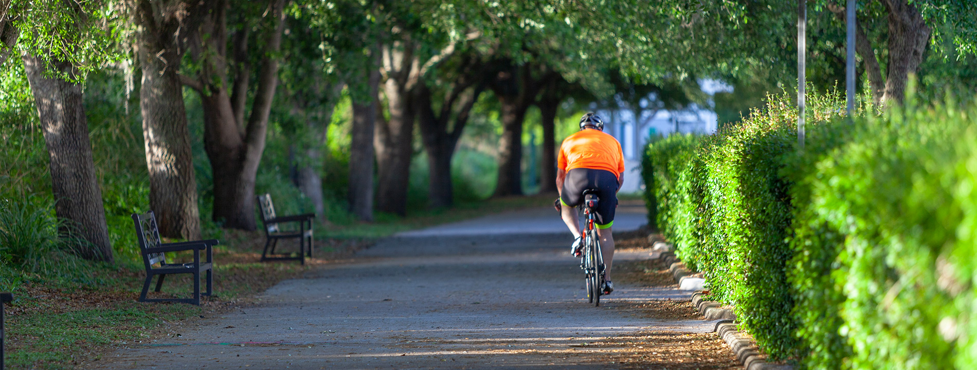 A person is riding a bike on a nature trail.