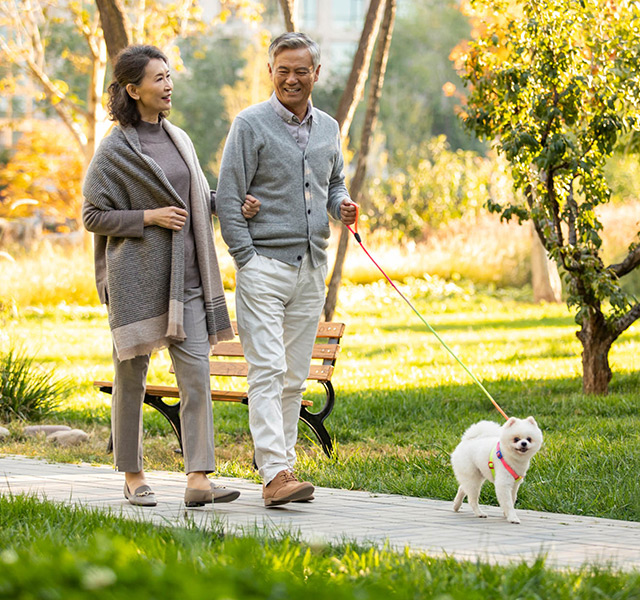 A couple walking their dog outside.