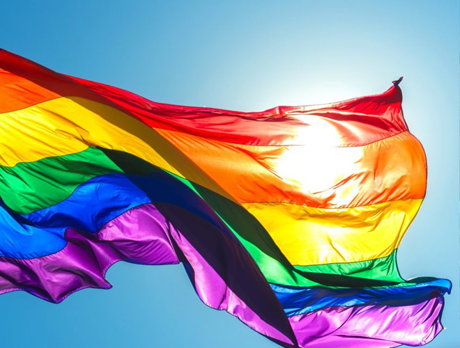 LGBTQ flag.