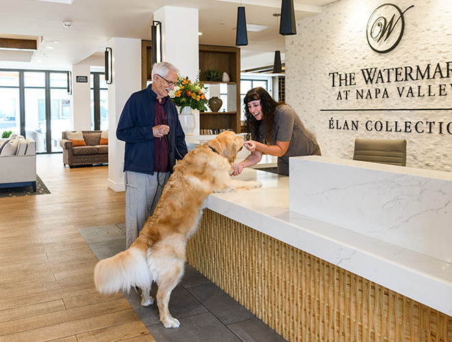 A Watermark receptionist is greeting a resident's dog at the desk.