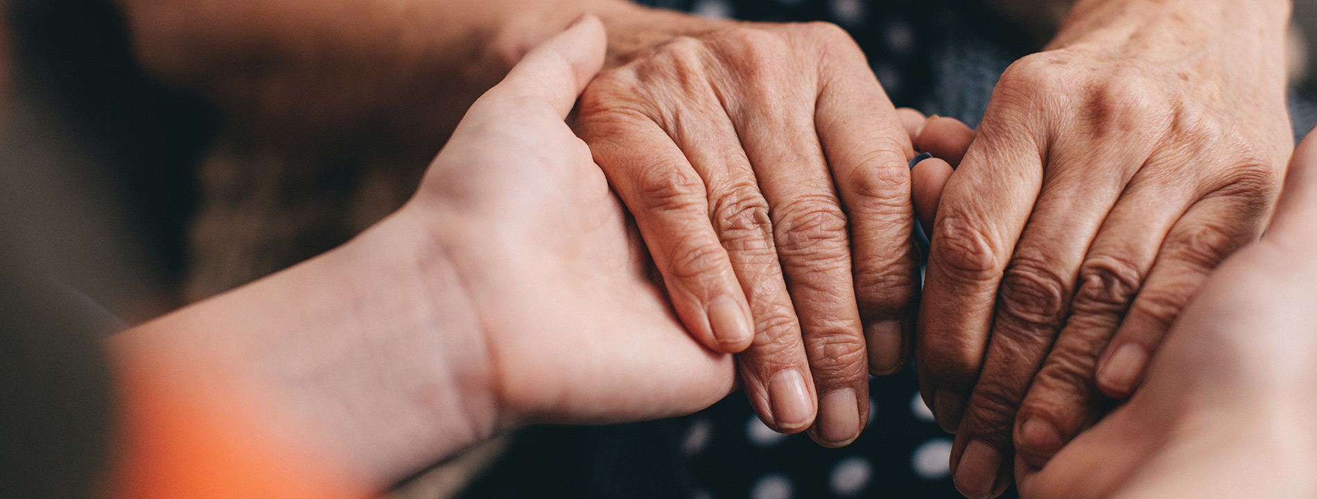 A close up of elderly hands being held.