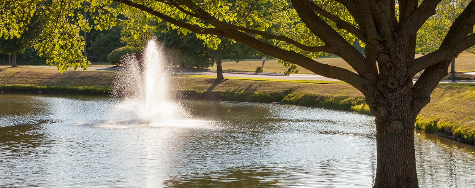 A fountain in the park.