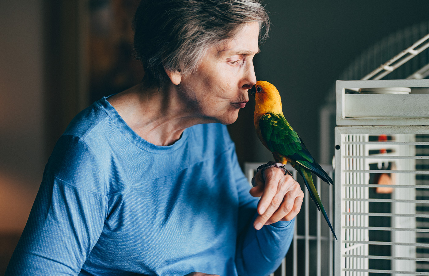 A person kissing their pet bird.