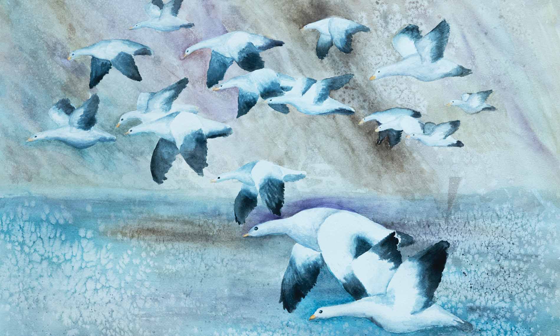 2February A piece of art of birds flying over water.