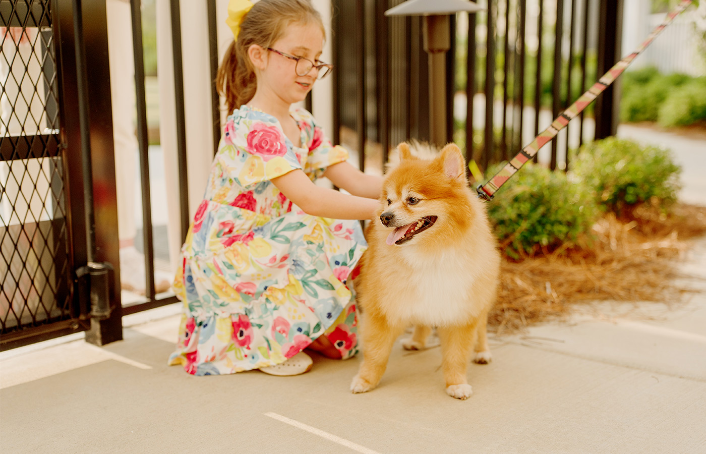A child petting a dog.